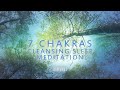 ALL 7 chakras Cleansing - Deep Meditation & Sleep | RAV Drum & Chakapa Journey