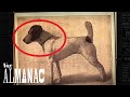 Westminster Kennel Club Dog Show Trivia