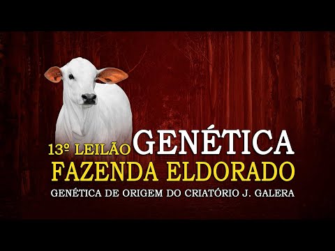 LOTE 01   VERDANA XXIV II FIV CGAL   CGAL 2483 zap