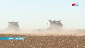 Более четырех миллионов тонн зерна собрали в Волгоградской области