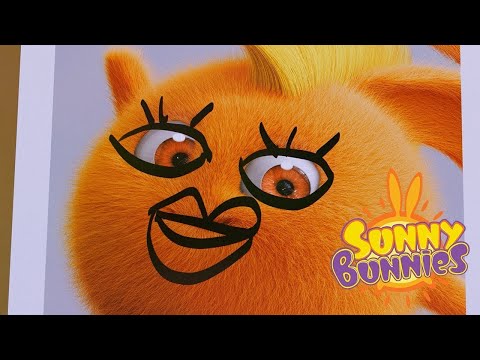 Sunny Bunnies |