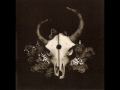 Demon Hunter - My Heartstrings Come Undone