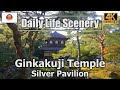 &quot;Ginkakuji Temple&quot;  世界遺産 銀閣寺【4K】Daily Life Scenery