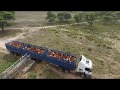 Cattle transportation in Namibia - "Putting the big ones on the truck"