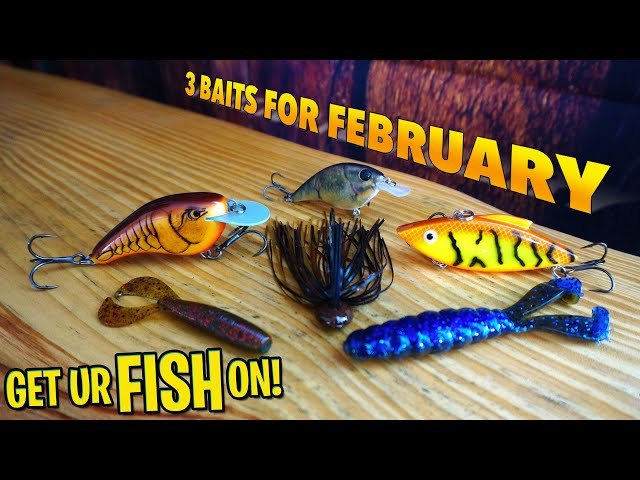 Three Bass Fishing Lures To Use in February To Catch More Fish