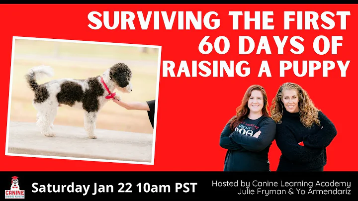 Canine Learning Academy presents Surviving the fir...