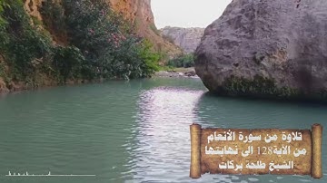 تلاوة من سورة الأنعام || الشيخ طلحة بركات ||