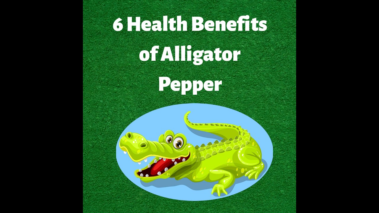 Alligator Pepper: 6 Amazing Benefits #health #diet #shorts