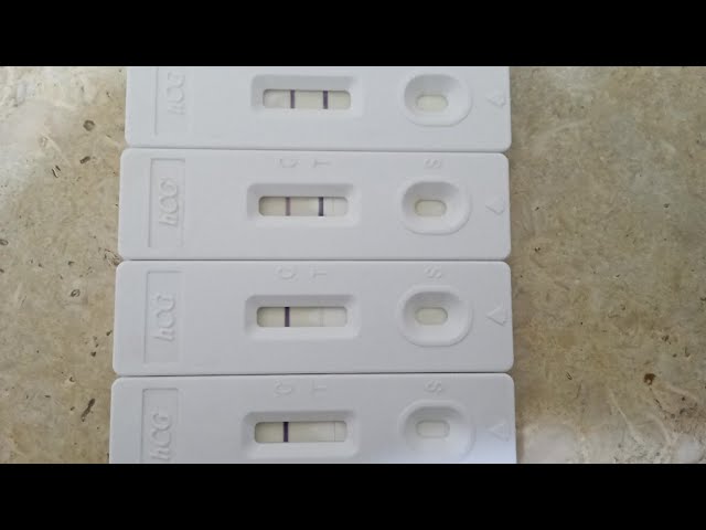الطريقة الصحيحة لعمل اختبار الحمل المنزلي في البول - YouTube