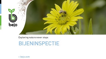 BEJO | Bijeninspectie