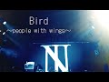 Bird~people with wings~/  The BONEZ-short ver.-【piano cover】