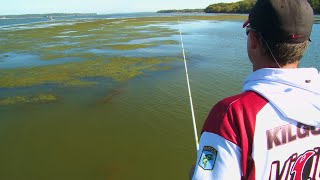 Tips to Find & Catch Fall Bass on Frogs