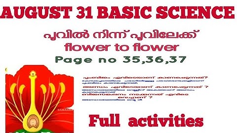 VICTERS CLASS STD 06 Basic Science Class 11lclass 6 basic science worksheet victers class 6 workshe