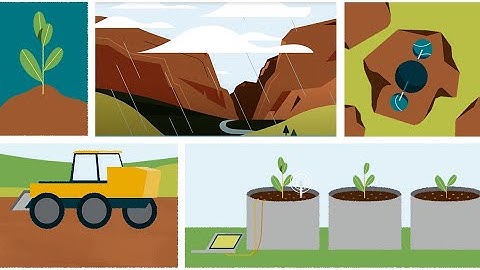 Science in Motion: Can enhanced weathering help slow climate change?