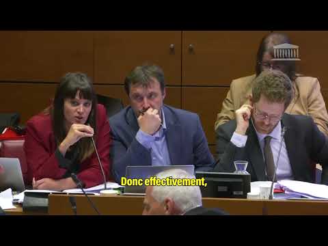 Les ZFE sont inapplicables aussi parce que les voitures électriques sont trop chères - Alma Dufour