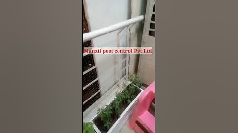Manzil pest control Pvt ltd || call: 18001024540 | bird netting services, balcony net, pigeon net