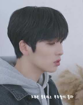 Jin Epiphany cover by Oneus Seoho
