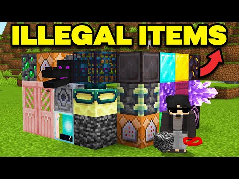 I Destroyed Every ILLEGAL ITEM on This Minecraft Server