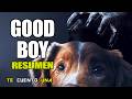 Good Boy | Perrito en Película de Terror, ¿Qué Puede Salir Mal? | Resumen