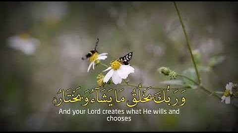 ‏﴿وَرَبُّكَ يَخْلُقُ مَا يَشَاءُ وَيَخْتَارُ ۗ مَا كَانَ لَهُمُ الْخِيَرَةُ﴾ | للقارئ نواف الحنين