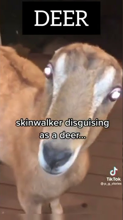 2 Scary Videos of Skinwalkers Disguised As Animals #shorts