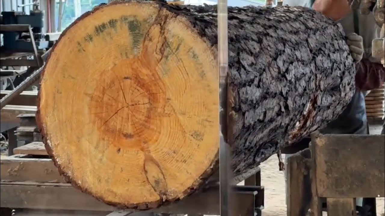 The Art of Cutting Wood | Beautiful Grain Inside Every Log