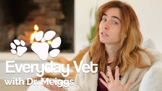 Dog Neuter Explained by a Vet | The reason to neuter and reasons not to neuter