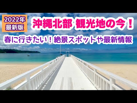 【2022年最新版】春に行きたい！沖縄北部 観光地の今！【沖縄旅行情報】