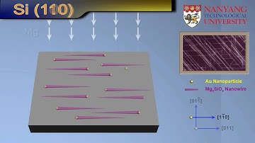 Self-Assembled In-Plane Growth of Mg2SiO4 Nanowires on Si Substrates Catalyzed by Au Nanoparticles