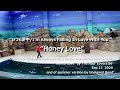 I'm Always Falling In Love With You / いつも夢中 - Honey Love 2020