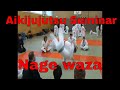 Aikijujutsu seminar  germany 2009  keith morgan kyoshi  nage waza kubinage  seoinage