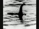 paranormal things 2 nessie the loch ness monster