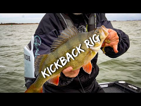 Balzer KickBack Rig video