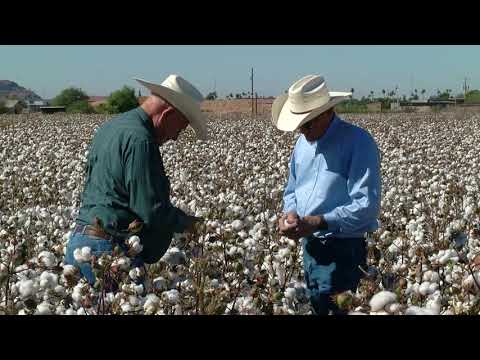 U.S. Cotton Trust Protocol Sign Up Deadline Extended