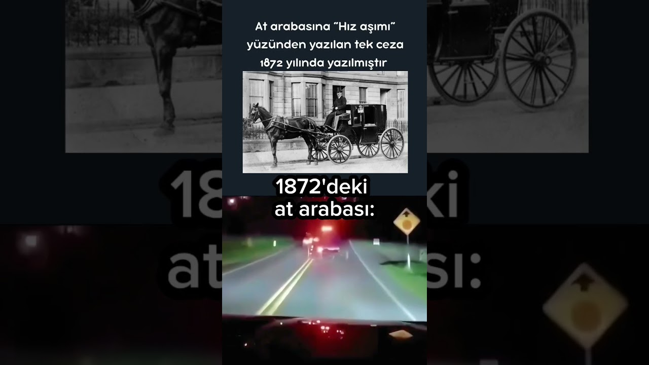 At arabası 🐴