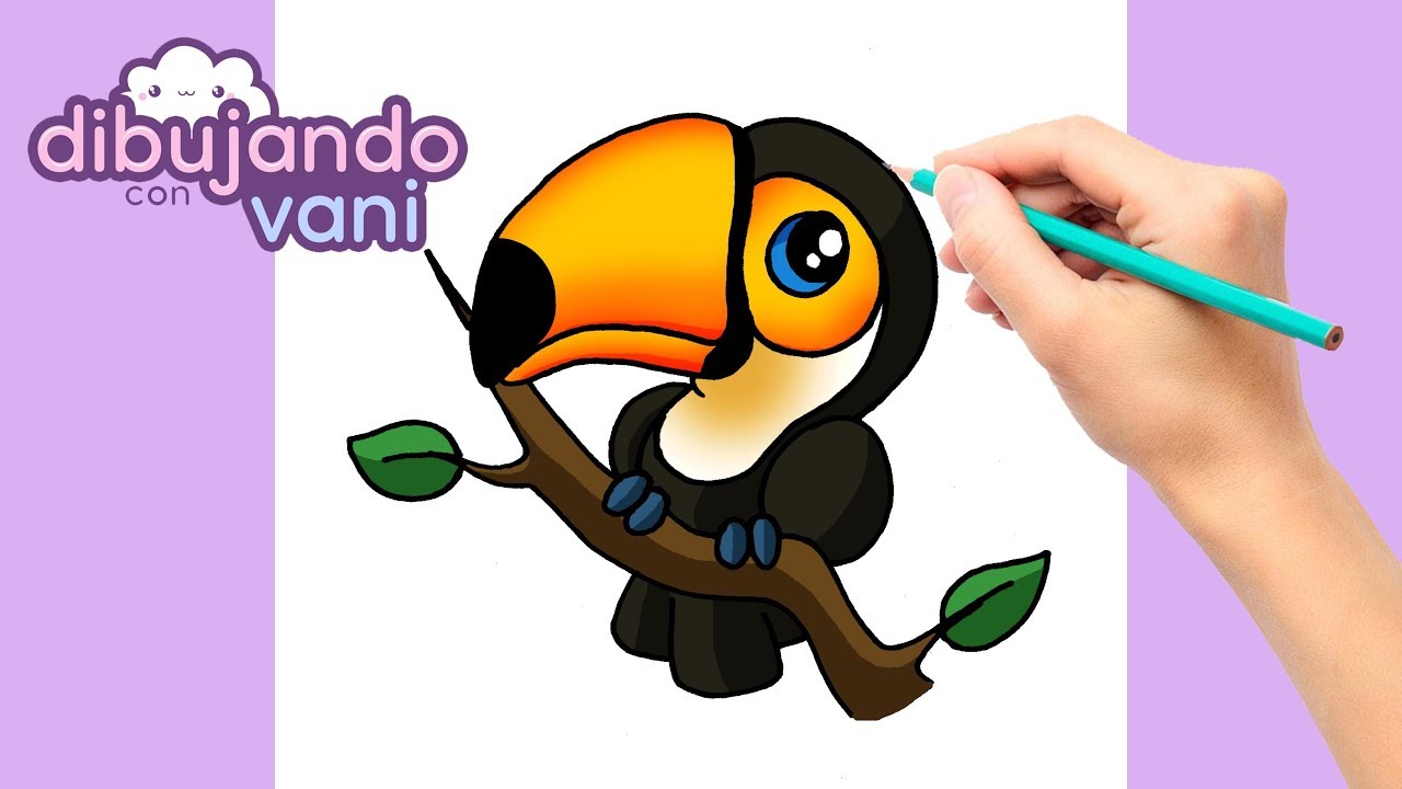 COMO DIBUJAR UN TUCAN PASO A PASO - DIBUJOS PARA DIBUJAR - IMAGENES FACILES  DE ANIMALES KAWAII - thptnganamst.edu.vn