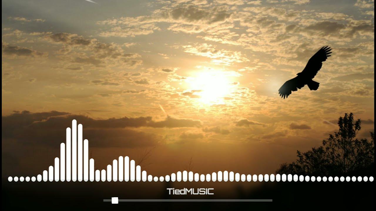 Сокол в небе. В вышине парили ястребы. Парящая птица в небе. Орел на фоне неба. Сокол парит в небе.