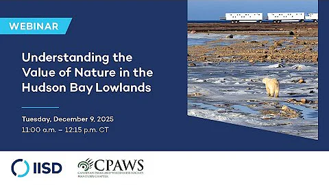 Webinar | Understanding the Value of Nature in the Hudson Bay Lowlands