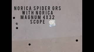 Norica Spider GRS quick accuracy test