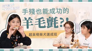 呆萌柴犬動手做#羊毛氈 新手也能輕易上手feat.艾蜜莉Nana【手殘救星 】