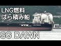SG DAWN LNG燃料 ばら積み船 2025年 竣工の新造船