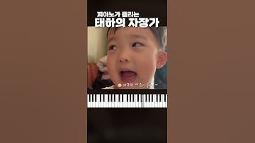 피아노가 들리는 태하의 자장가