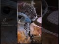 العين ماتبكي الامن سبايبها العين ماتبكي الامن سبايبها