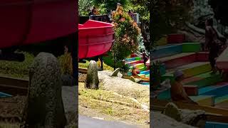 Vidioe Wis Tek Lok Ges fypp