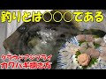 釣りとは○○○である！カワハギの捌き方・肝の処理の方法も解説。三種の刺身とクラウドアジフライに感動