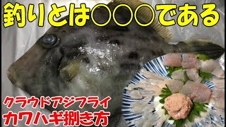 釣りとは○○○である！カワハギの捌き方・肝の処理の方法も解説。三種の刺身とクラウドアジフライに感動