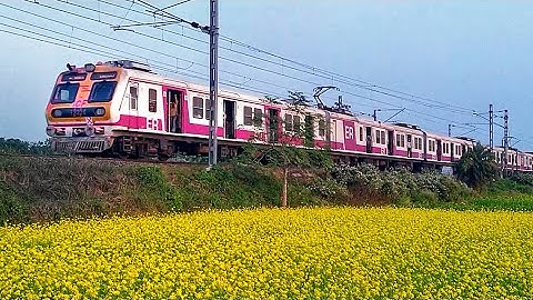 Amazing Aerodynamic Medha EMU & Express Train Skip through Colourful Mustard Field | Eastern Railway