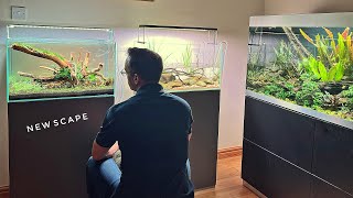 NEW HOME AQUASCAPE - VLOG TUTORIAL