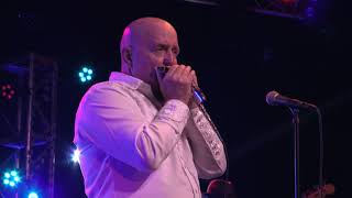 Watch Fabulous Thunderbirds Scratch My Back Live video