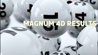 Magnum 4D Results screenshot 1